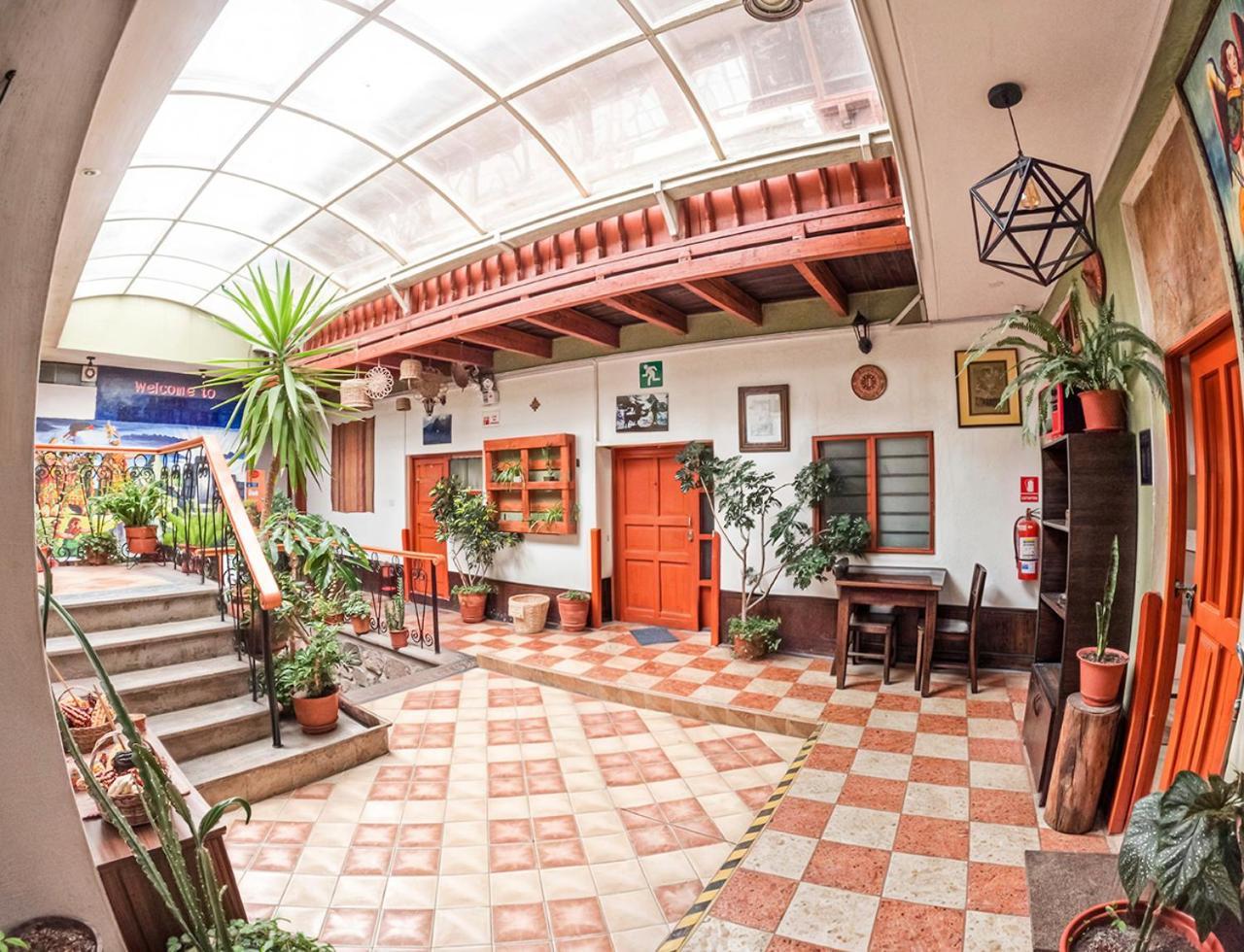 Auberge de jeunesse Eco View -