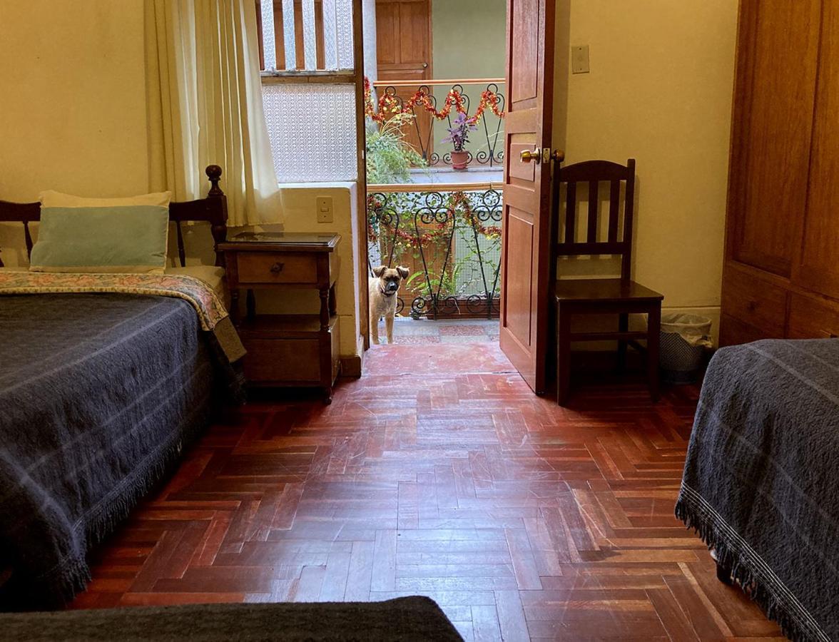 Hostal Eco View - *
